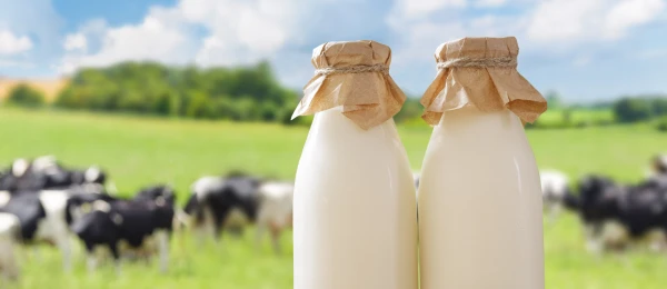 twee flessen melk voor een weiland vol koeien